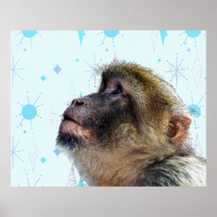 Poster Le Singe Regarde Le Papier Peint Moderne Du Milieu