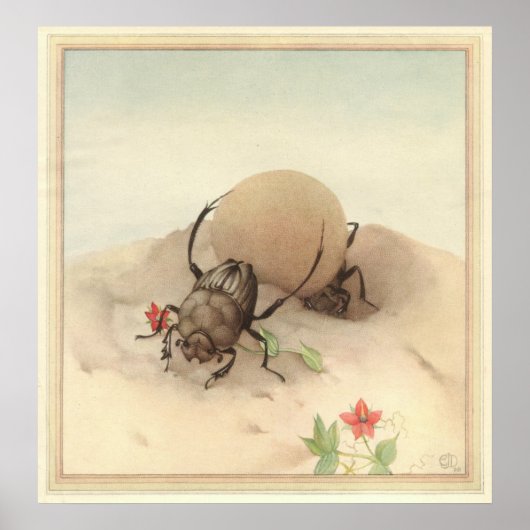 Poster LE SISYPHUS - Illustration du livre d'insectes (Devant)