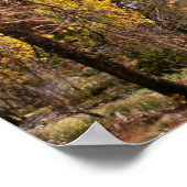 Poster Le Skys la limite (Coin)