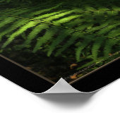 Poster Le Soleil (Coin)