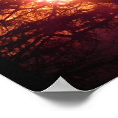 Poster Le Soleil d'Hiver (Coin)