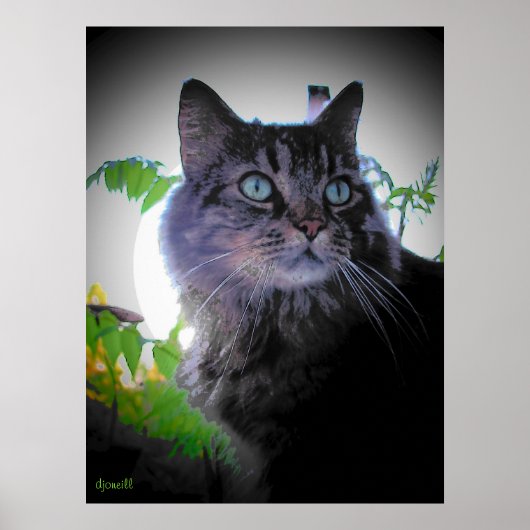 Poster Le soleil du matin est levé (Devant)