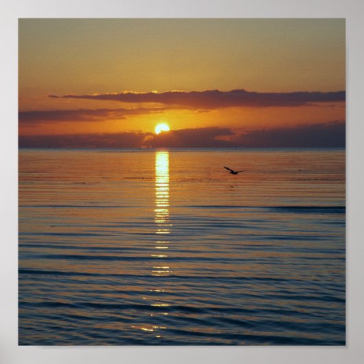 Poster Le soleil se lèvera (Devant)