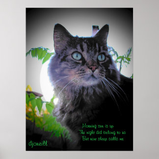 Poster Le sommeil m'appelle