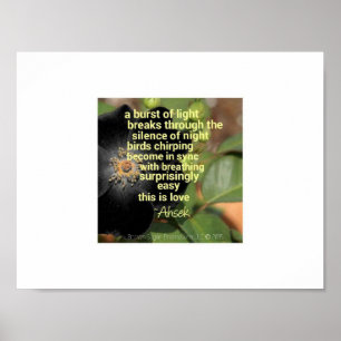 Poster Le son du poème du matin par Ahsek Novel