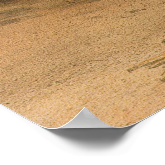 Poster Le Sphinx à Giza (Coin)