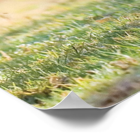 Poster Le Sprint (Coin)