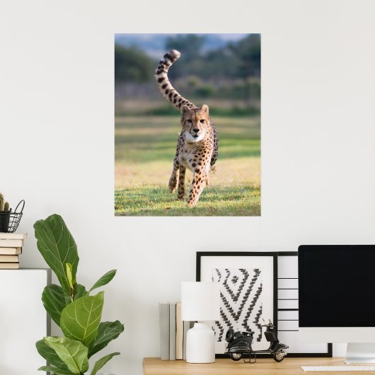 Poster Le Sprint (Bureau à domicile)