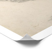 Poster Le Squelette d'une Foule, de la série 'A Compara (Coin)