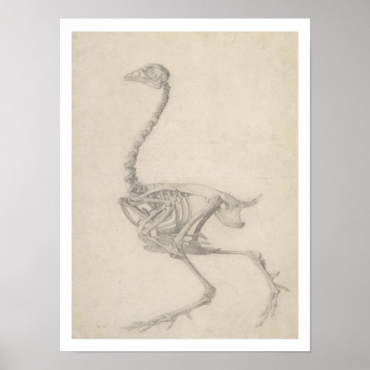 Poster Le Squelette d'une Foule, de la série 'A Compara (Devant)