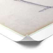 Poster Le squelette humain, vue latérale, de la série (Coin)