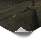 Poster Le squelette peint une vie morte (Coin)