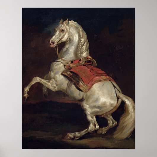 Poster Le Stallion de Napoléon, Tamerlan (Devant)