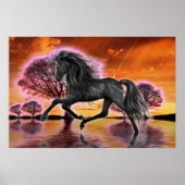 Poster Le Stallion Noir .. image imaginaire ... (Devant)