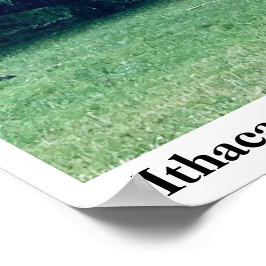 POSTER LE STORM STUART PARK 2021 (Coin)