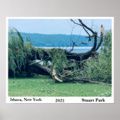 POSTER LE STORM STUART PARK 2021 (Devant)