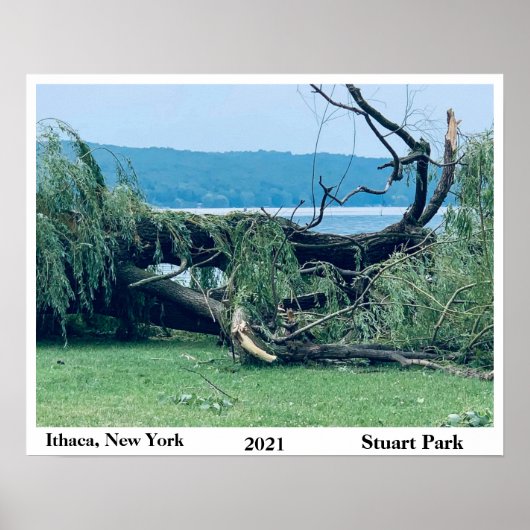 POSTER LE STORM STUART PARK 2021 (Devant)