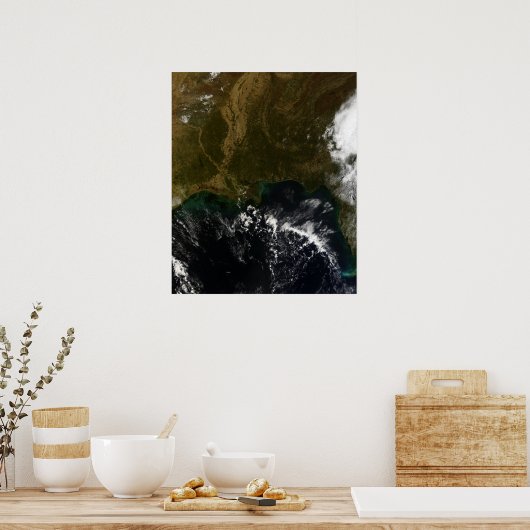 Poster Le sud-est des États-Unis (Cuisine)