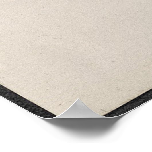 Poster Le suffrage des femmes (Coin)