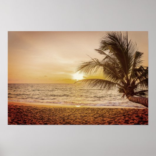 Poster Le Sunset Coconut Palm sur la plage (Devant)