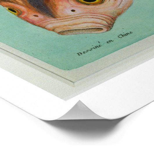 Poster Le Superbe, gravé par François Nicholas Martinet (Coin)