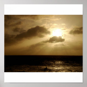 Poster Le surfer Dernier