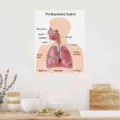 Poster Le système respiratoire marqué imprimé (Cuisine)