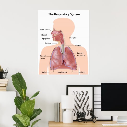 Poster Le système respiratoire marqué imprimé (Bureau à domicile)