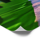 Poster Le Taj Mahal sous un ciel étoilé (Coin)