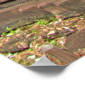 Poster Le temple de Banteay Srei Chandi (Coin)