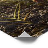 Poster Le temps de se détendre "poster" (Coin)