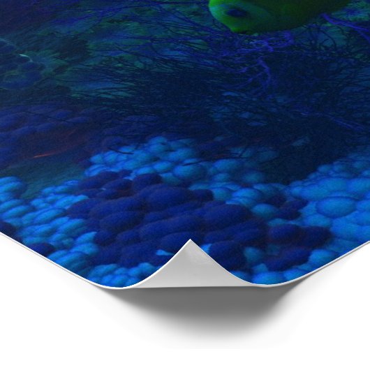 Poster Le terrain de jeu de Poseidon (Coin)