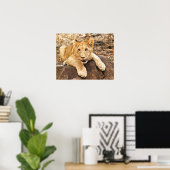 Poster Le Tiger S'Épique Sur Un Rocher (Bureau à domicile)