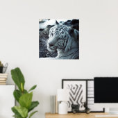 Poster Le tigre blanc (Bureau à domicile)