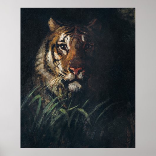 Poster Le tigre de Thayer (Devant)