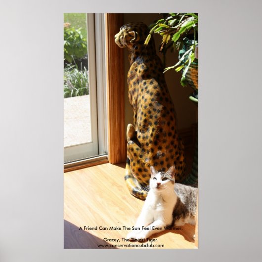 Poster Le Tigre le plus fin et le mauvais Kitty (Devant)