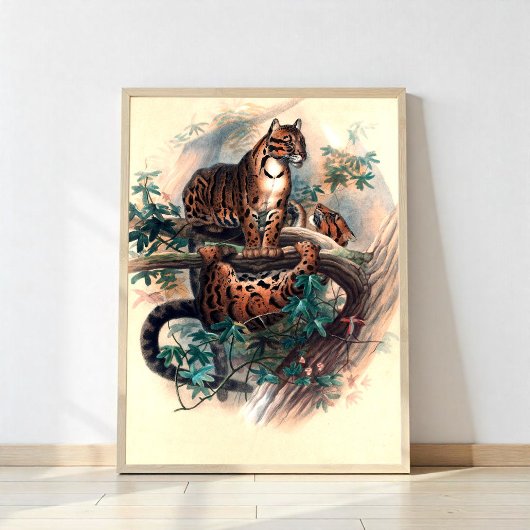 Poster Le tigre obscurci