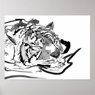 Poster Le Tigre Tranquille