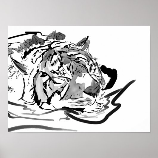 Poster Le Tigre Tranquille (Devant)