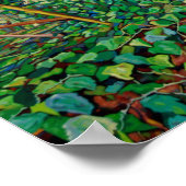 Poster Le tombeau des Wrens (Coin)