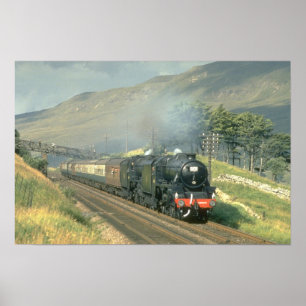 Poster Le train vapeur-transporté par bout du chemin de