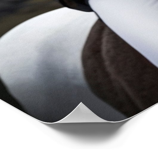 Poster Le trajet de Heidrun (Coin)