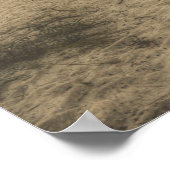 Poster Le Triomphe Le Plus Glorieux (Coin)