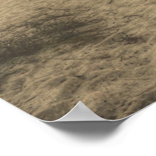 Poster Le Triomphe Le Plus Glorieux (Coin)