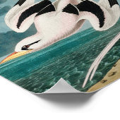 Poster Le Tropicbird à queue blanche d'Audubon (Coin)