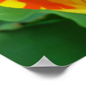 POSTER LE TULIP (Coin)