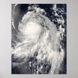 Poster Le typhon Nakri au large du Japon