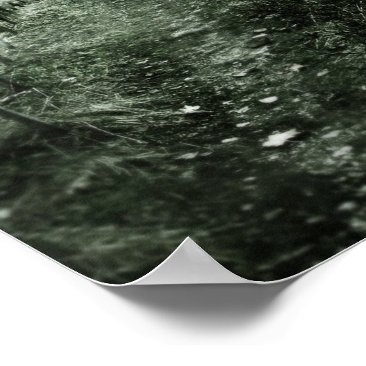 Poster Le vagabond (Coin)