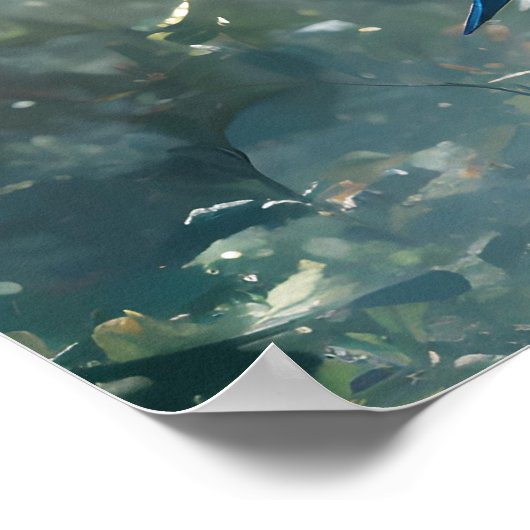 Poster Le vaisseau spatial Anime (Coin)