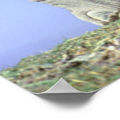 Poster Le veau d'éléphant africain (Coin)